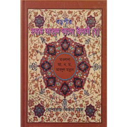 হযরত বড়পীর আব্দুল কাদের জিলানী (র)